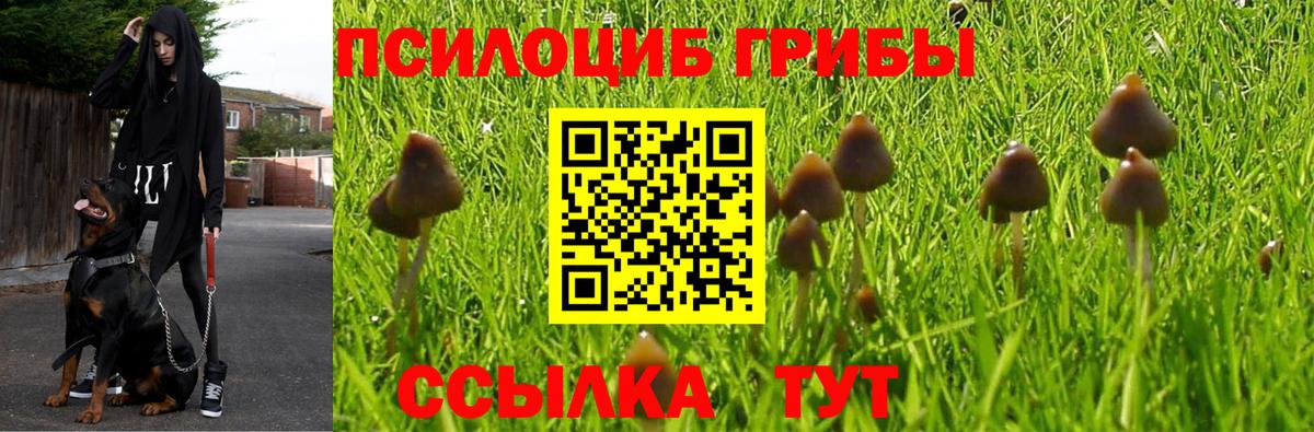 Псилоцибиновые грибы ЛСД  Вход с VPN  Псилоцибиновые грибы мухоморы  Богородицк 